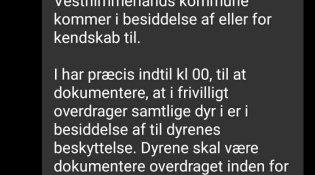 Amanda Oppenhaugen?? Hvem er du,,